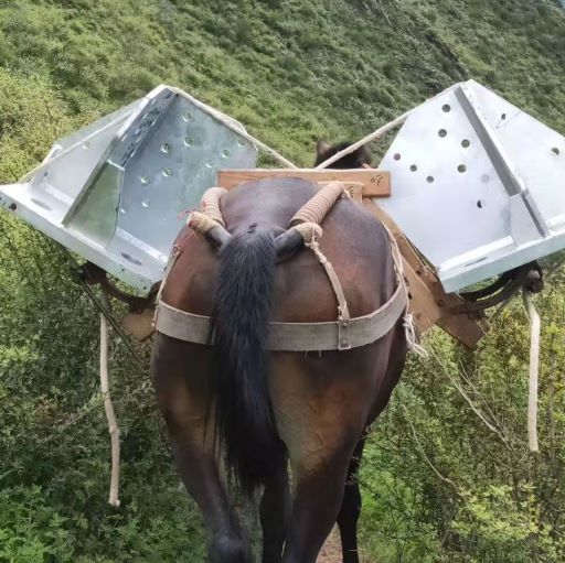 江西马帮运输
